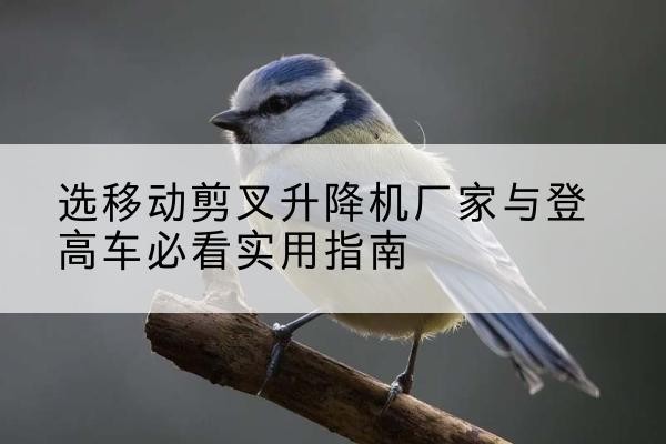 高县电动升降机厂家-选移动剪叉升降机厂家与登高车必看实用指南