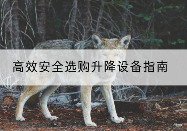 高县升降货梯厂家推荐-*安全选购升降设备指南