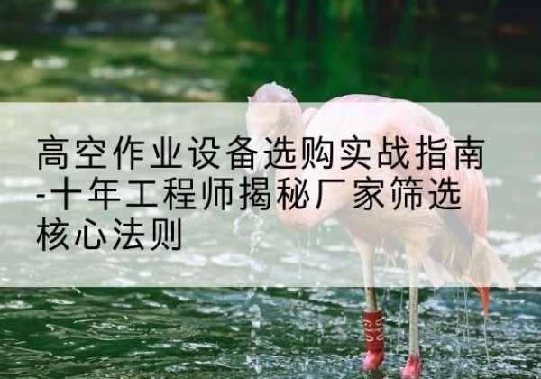 高县剪叉式升降机厂家-高空作业设备选购实战指南-十年工程师揭秘厂家筛选核心法则